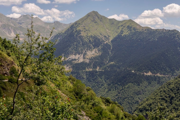 Mountains on a sunny summer day Tzoumerka Greece