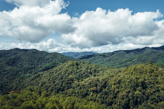 Mountains and trees during daytime summer