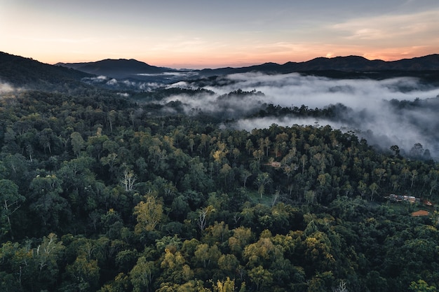 Mountains and trees at a rural village, high angle in the morning