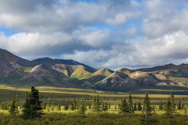 Mountains in tundra