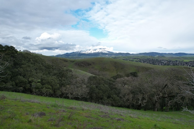 Mountains and wildflowers around San Ramon after a rain