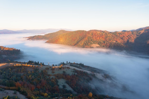 Mountains with colorful trees covered with layer of fog