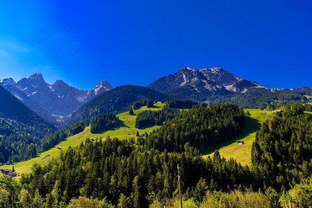 Mountains with meadows forest and blue sky in Flendruz Rougemo