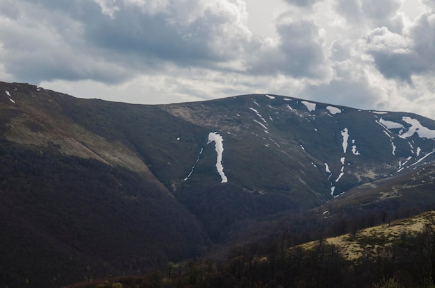 Mountains with snow at the top of them Mountain forests