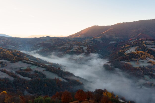 Mountains with terracotta and green trees growing under bright blue cloudless sky protrude from thick layer of white fog panorama view