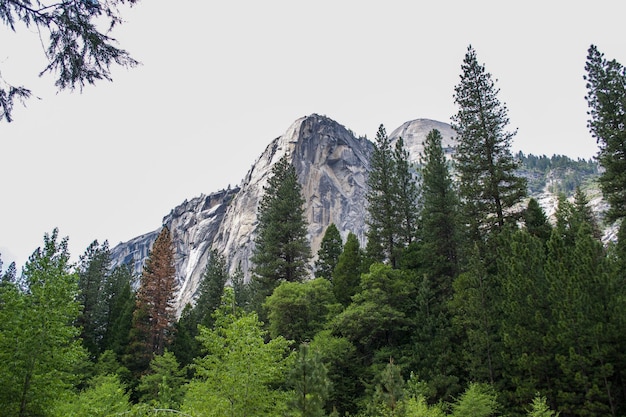 Mountains of Yosemite National Park