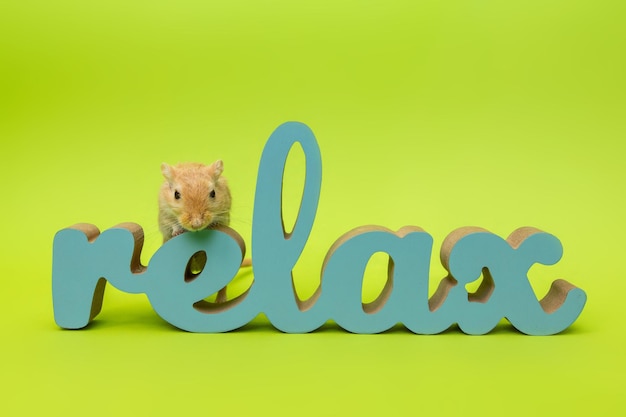 The mouse sits on a wooden lettering relax