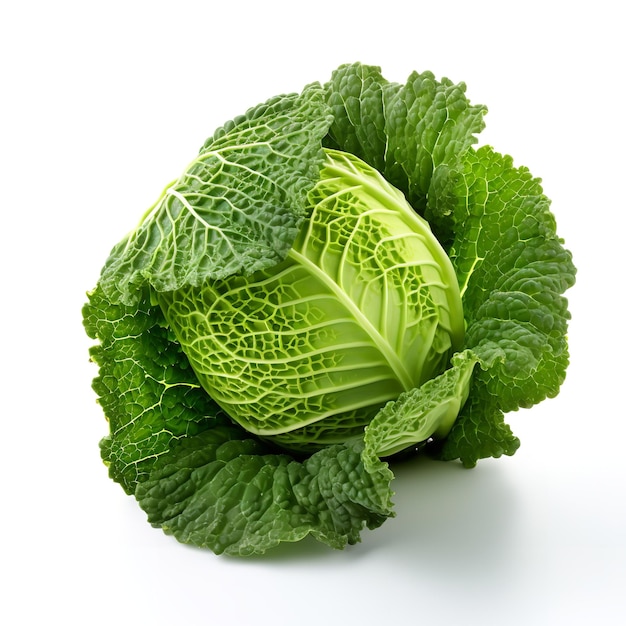 Mouth Watering Savoy Cabbage isolated on white background