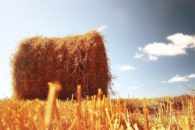 mowing field autumn landscape