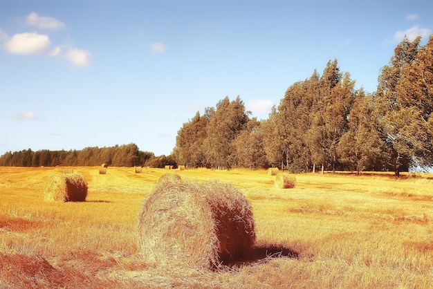 mowing field autumn landscape