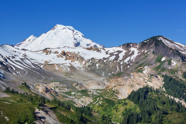 Mt Baker recreational area in summer season