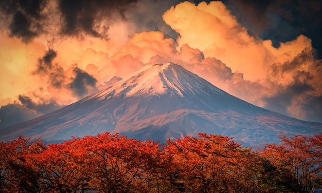 Mt. Fuji on blue sky background with autumn foliage at daytime in Fujikawaguchiko, Japan.