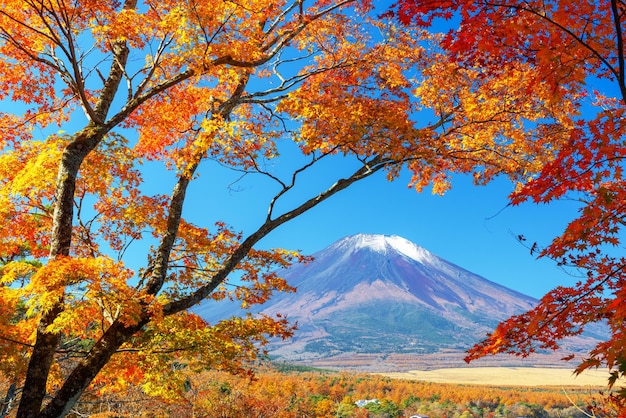 Mt Fuji from Yamanaka Lake in Yamanashi Prefecture