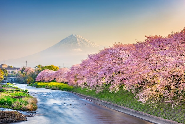 Mt Fuji Japan spring landscape