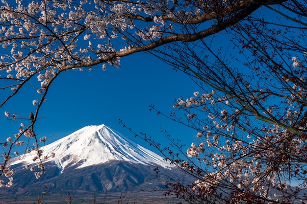 Mt. Fuji at kawaguchiko Fujiyoshida, Japan.