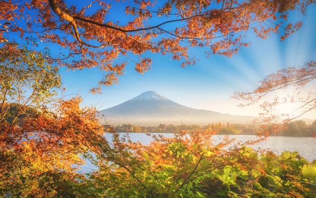 Mt Fuji over Lake Kawaguchiko with autumn foliage at sunset in Fujikawaguchiko Japan