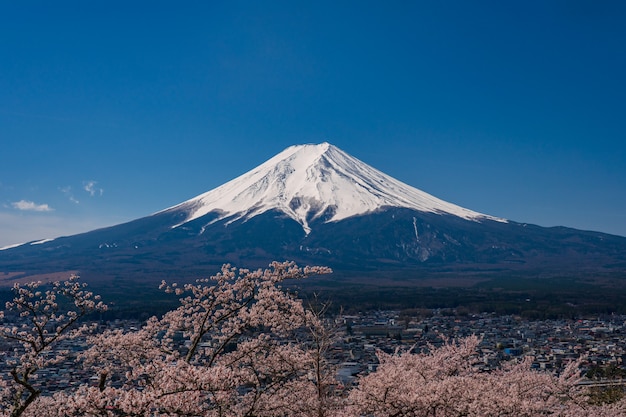 Mt. Fuji in the spring time with cherry blossoms at kawaguchiko Fujiyoshida, Japan.