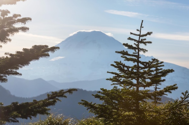 Mt Rainier