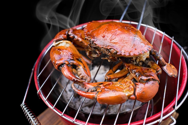 mud crab on stove grill on black background.