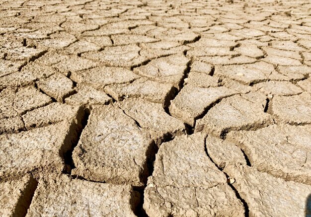 Mud cracks at sat mediterranean sea in france