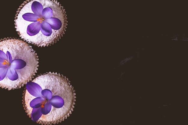 Muffins decorated with crocus flower on black velvet  background.
Spring. Top view. Frame. Copy space.