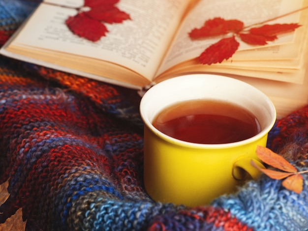 Mug of fragrant tea in a colorful autumn scarf on the table and an old vintage book