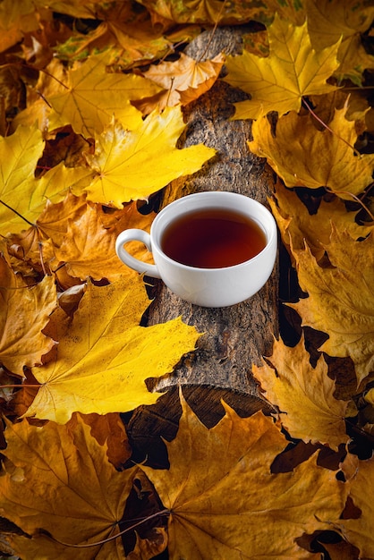 Mug of tea autumn leaves beautiful autumn composition with teacup autumn forest tea time