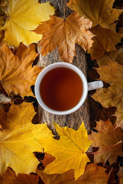 Mug of tea autumn leaves beautiful autumn composition with teacup autumn forest tea time