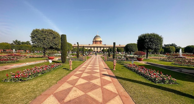 Mughal garden delhi or Amrit Udyan Rashtrapati Bhawan President39s Estate New Delhi Delhi