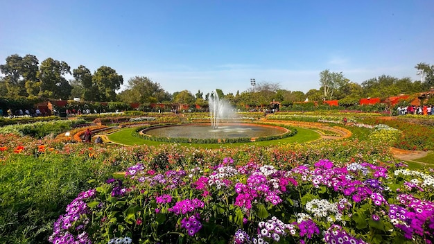 Mughal garden delhi or Amrit Udyan Rashtrapati Bhawan President39s Estate New Delhi Delhi