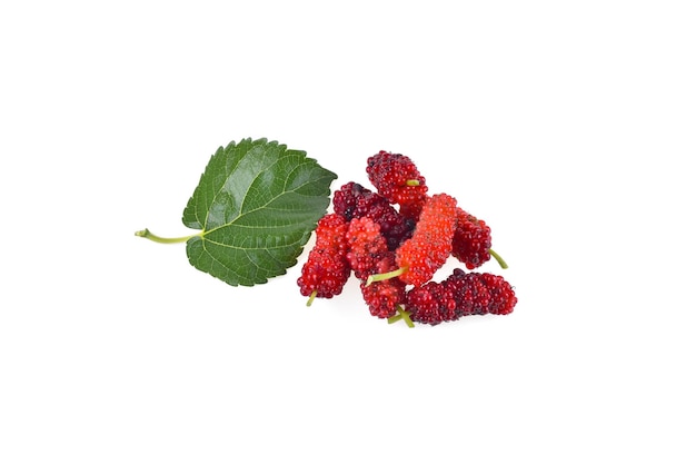 Mulberry fruit with green leaf isolated on white background