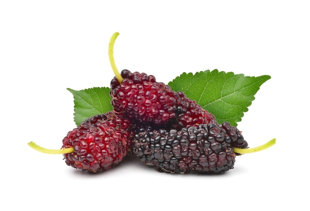 Mulberry fruits on the table