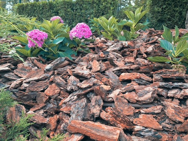 Mulched flower bed