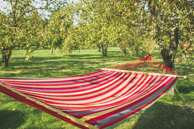 Multi-colored hammock on a sunny day against the backdrop of an apple orchard.