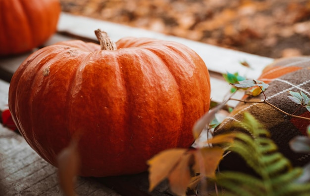 Multi colored organic pumpkins next to old wooden box with colorful leaves and flowers inside