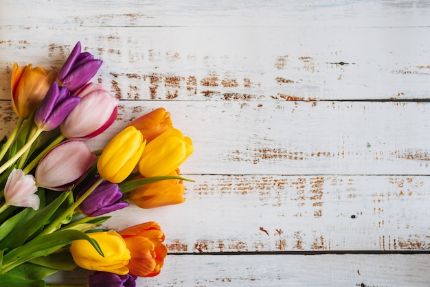 Multi-colored tulips on a white wooden background. the view from the top. with space for text