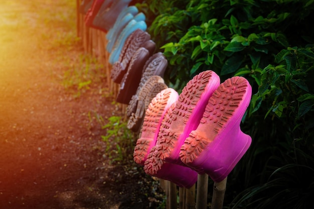 multicolored boots hanging on wood.