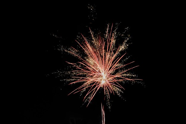 Multicolored fireworks in the night sky Celebration of Independence Day New Year and other holidays