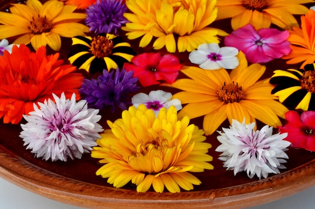 Multicolored flower mandala on floating on water plate made of fresh flowers.