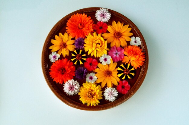 Multicolored flower mandala on floating on water plate made of fresh flowers.