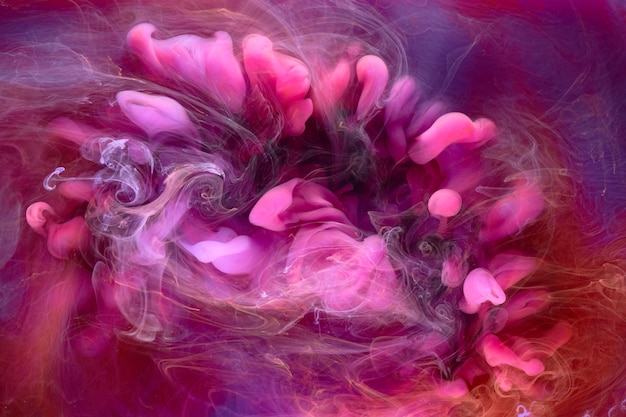 Multicolored pink smoke abstract background acrylic paint underwater explosion