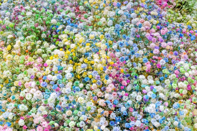 Multicolored small flowers Beautiful floral background