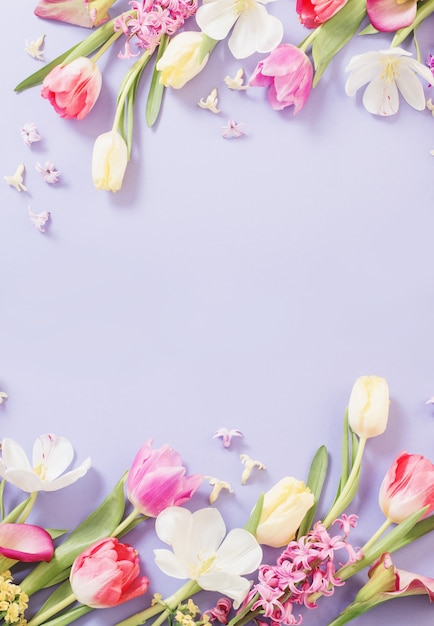 Multicolored spring flowers on  purple background