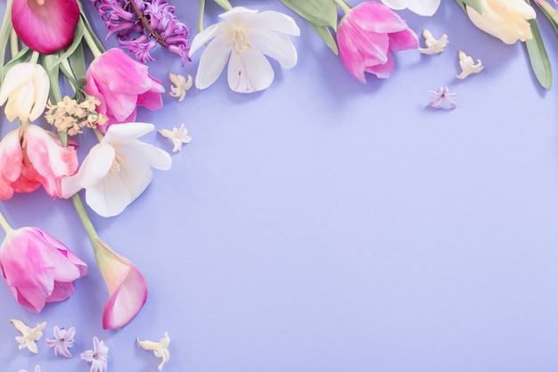 Multicolored spring flowers on purple surface