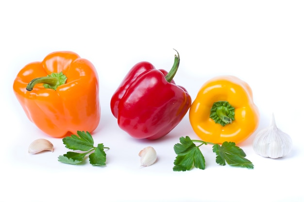 Multicolored vegetables on a white background