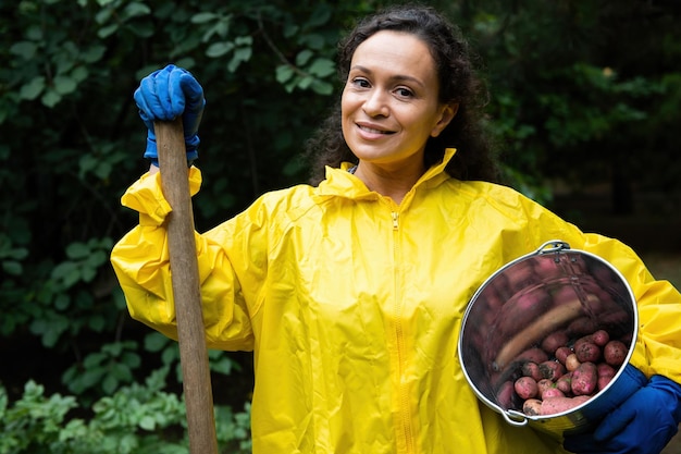 Multiethnic woman gardener agronomist with a metal bucket full of harvested crop of dug potatoes in an organic eco farm