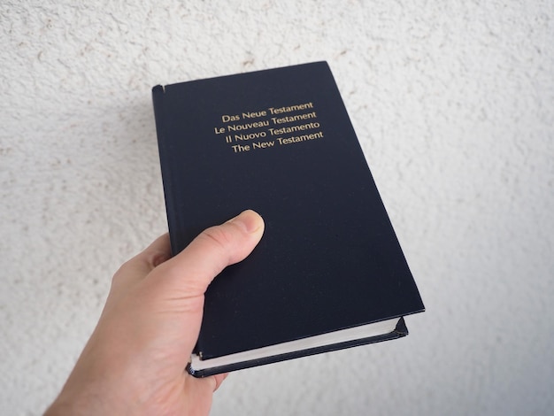 Multilingual New Testament