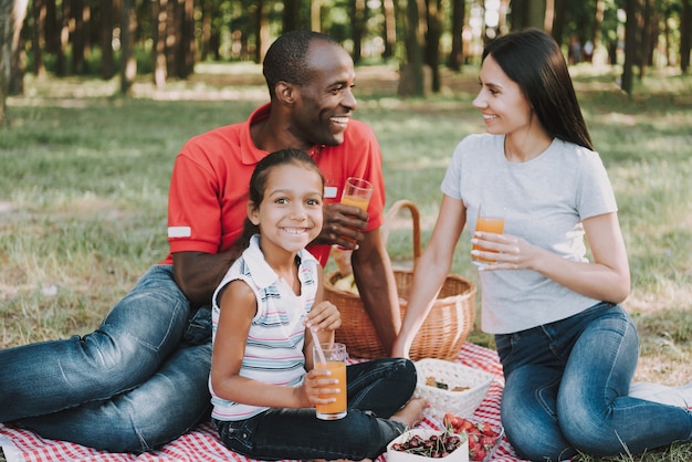 Multinational Family Drink Juice On A Picnic.