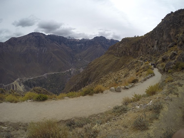 Multiple slopes in the descent trekking in the Colca Canyon Arequipa Peru