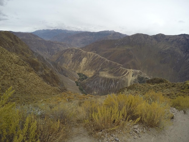 Multiple slopes in the descent trekking in the Colca Canyon Arequipa Peru